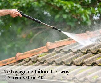 nettoyage-de-toiture