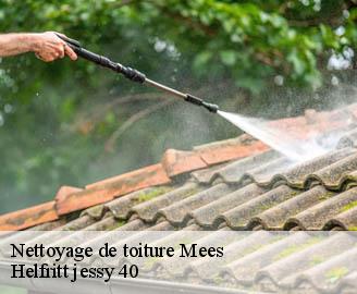 nettoyage-de-toiture