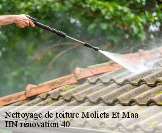 nettoyage-de-toiture