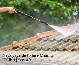 nettoyage-de-toiture
