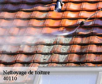 nettoyage-de-toiture