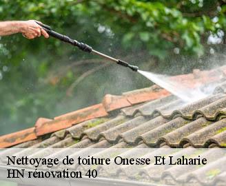 nettoyage-de-toiture