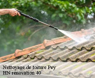 nettoyage-de-toiture