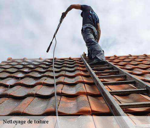 nettoyage-de-toiture