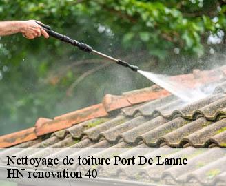 nettoyage-de-toiture