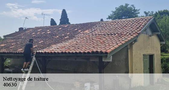 nettoyage-de-toiture