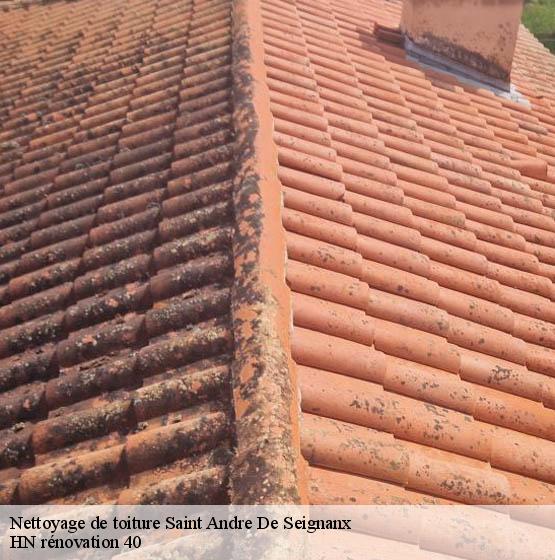 nettoyage-de-toiture