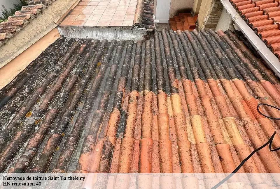 nettoyage-de-toiture