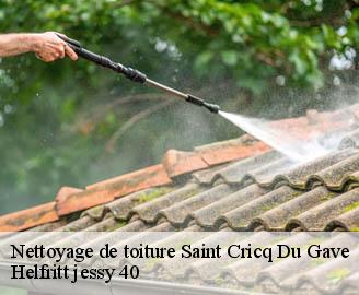 nettoyage-de-toiture
