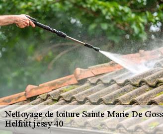 nettoyage-de-toiture