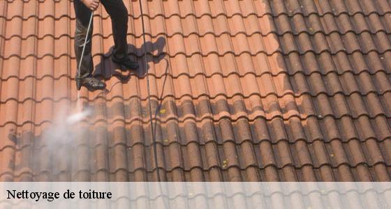 nettoyage-de-toiture