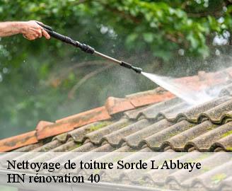 nettoyage-de-toiture