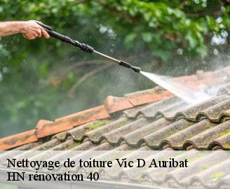 nettoyage-de-toiture