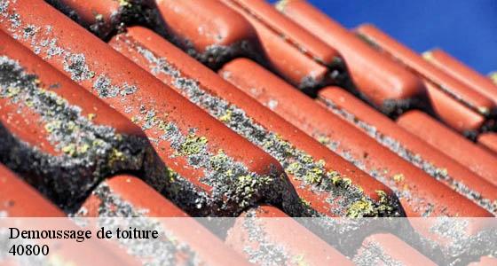 demoussage-de-toiture