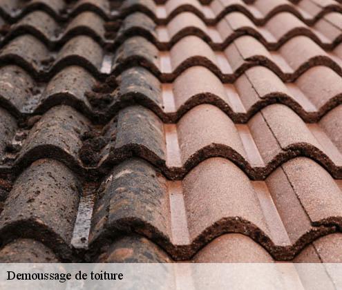 demoussage-de-toiture