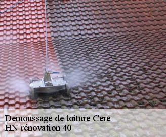 demoussage-de-toiture