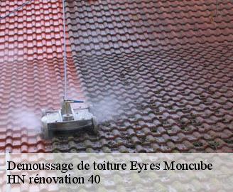 demoussage-de-toiture