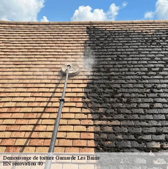 demoussage-de-toiture