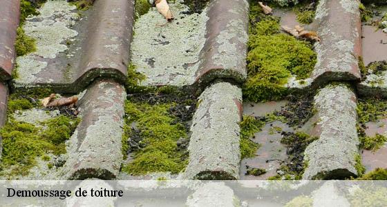 demoussage-de-toiture
