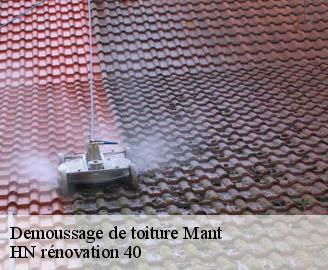 demoussage-de-toiture