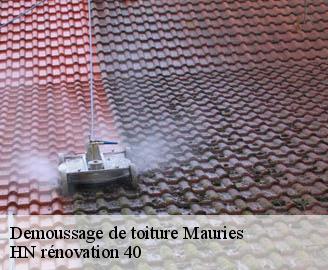demoussage-de-toiture