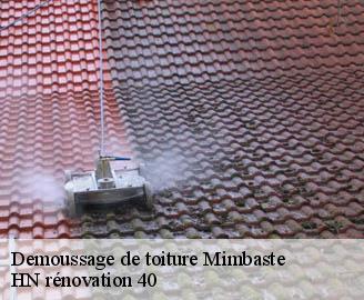 demoussage-de-toiture