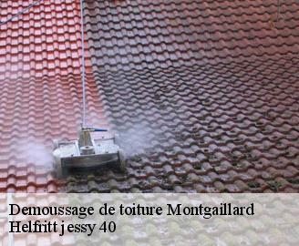 demoussage-de-toiture