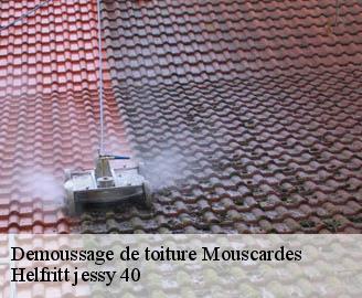 demoussage-de-toiture
