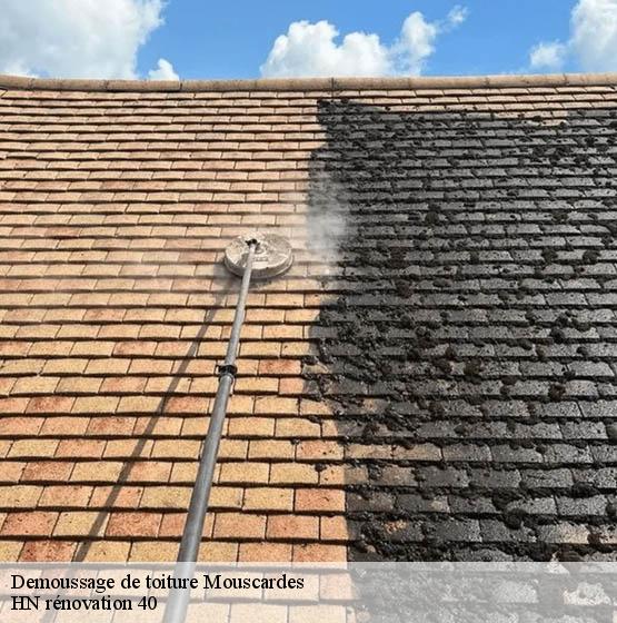 demoussage-de-toiture