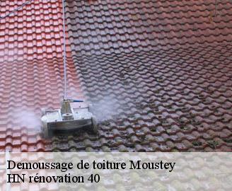 demoussage-de-toiture