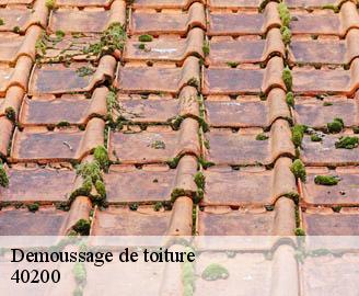 demoussage-de-toiture