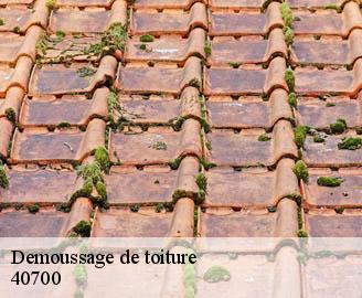 demoussage-de-toiture