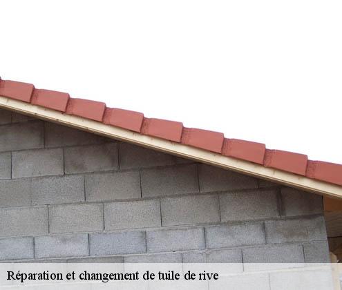 reparation-et-changement-de-tuile-de-rive