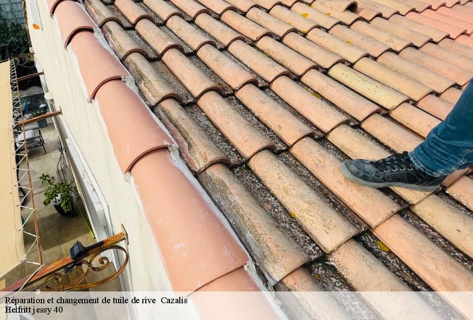 reparation-et-changement-de-tuile-de-rive