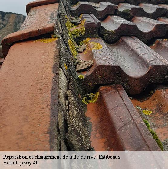reparation-et-changement-de-tuile-de-rive
