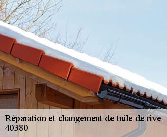 reparation-et-changement-de-tuile-de-rive