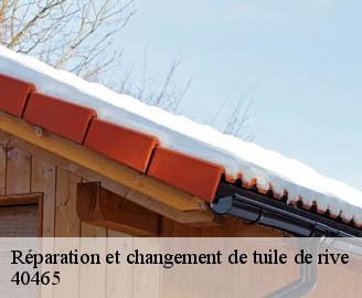 reparation-et-changement-de-tuile-de-rive