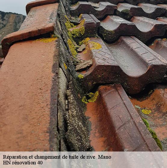 reparation-et-changement-de-tuile-de-rive