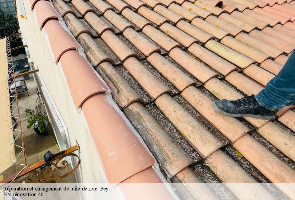reparation-et-changement-de-tuile-de-rive
