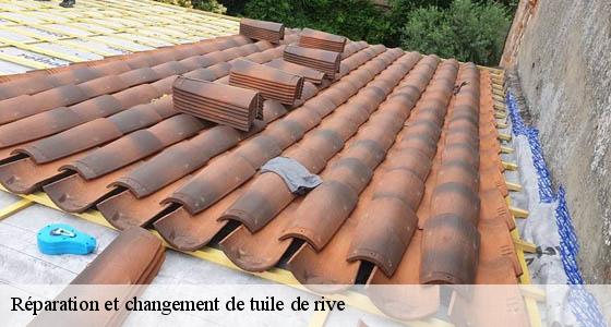 reparation-et-changement-de-tuile-de-rive
