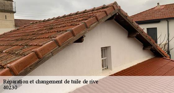 reparation-et-changement-de-tuile-de-rive
