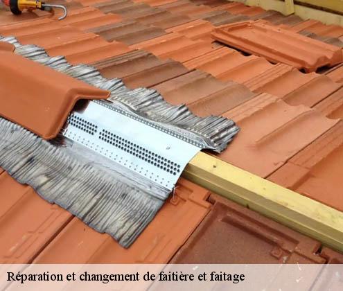 reparation-et-changement-de-faitiere-et-faitage