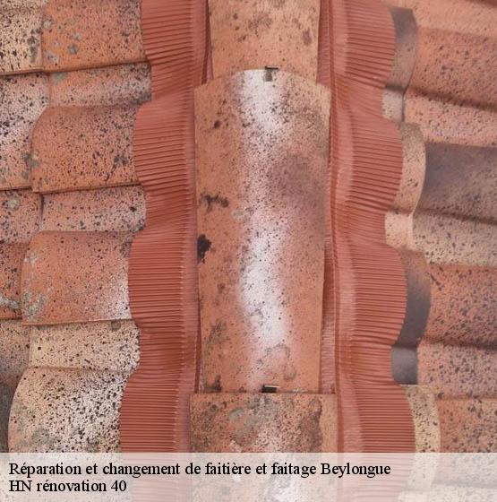 reparation-et-changement-de-faitiere-et-faitage