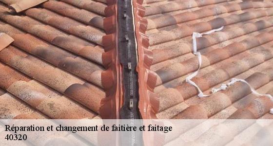 reparation-et-changement-de-faitiere-et-faitage