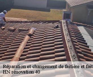 reparation-et-changement-de-faitiere-et-faitage