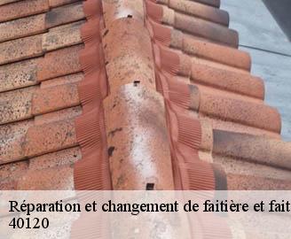 reparation-et-changement-de-faitiere-et-faitage