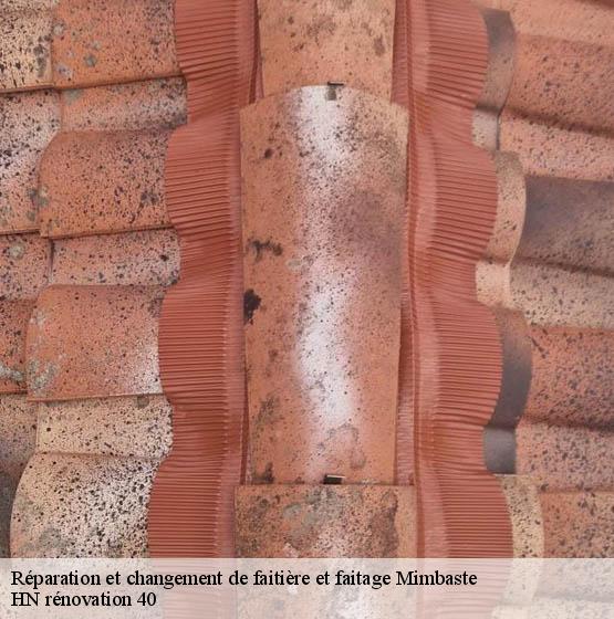 reparation-et-changement-de-faitiere-et-faitage