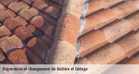 reparation-et-changement-de-faitiere-et-faitage