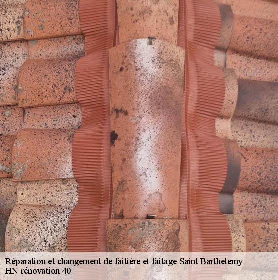 reparation-et-changement-de-faitiere-et-faitage