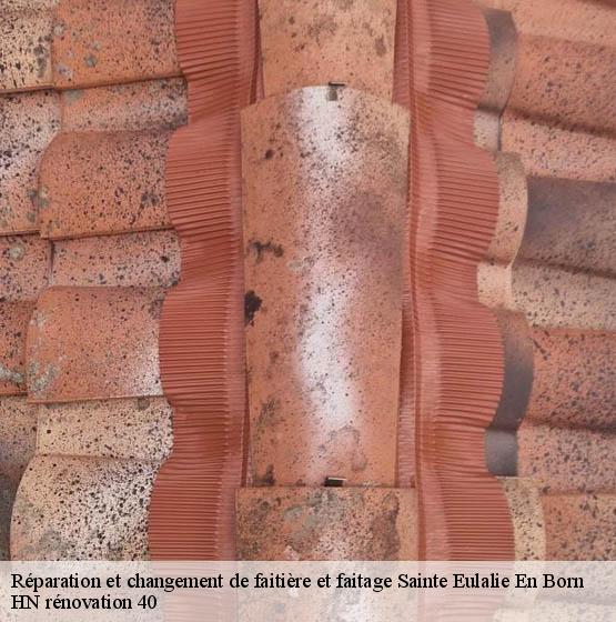 reparation-et-changement-de-faitiere-et-faitage